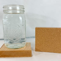 Sugar Skull Coaster Set